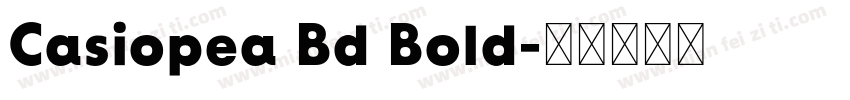 Casiopea Bd Bold字体转换